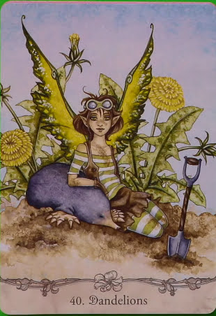 Fairy Wisdom Oracle